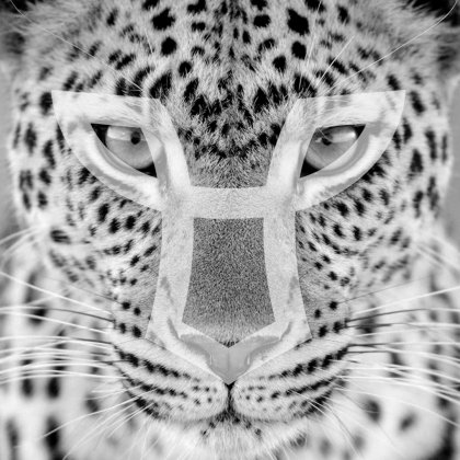 Gem Empire of Tiger GEOT Hesse Shanghai